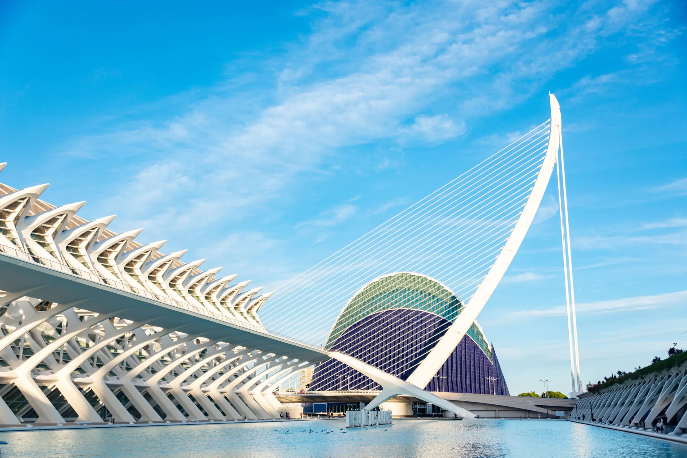 The Science Museum, at the City of Arts and Sciences